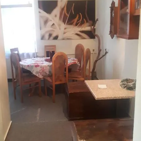 Apartment Fundf Klingenthal