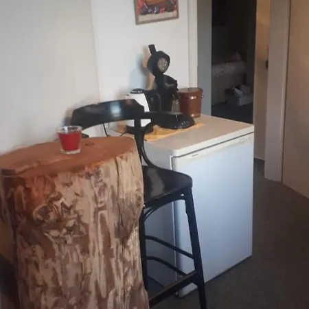 Apartment Fundf Klingenthal